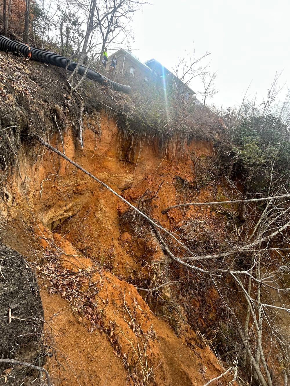 Gallery photos for Major Slope Erosion Repair on a 60% Grade in Lanexa: Image #1