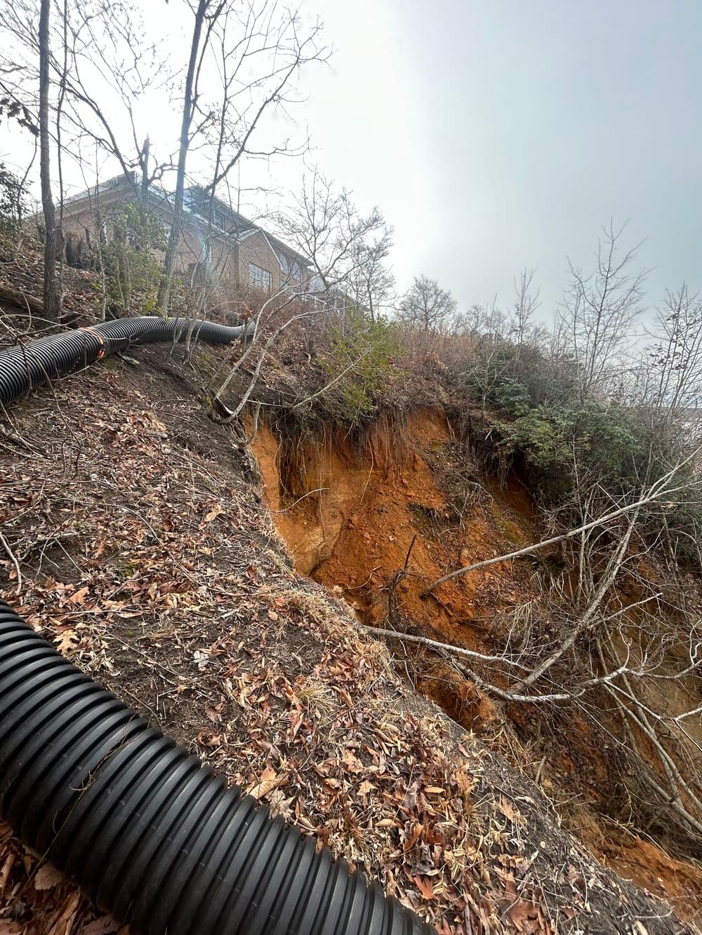 Gallery photos for Major Slope Erosion Repair on a 60% Grade in Lanexa: Image #3