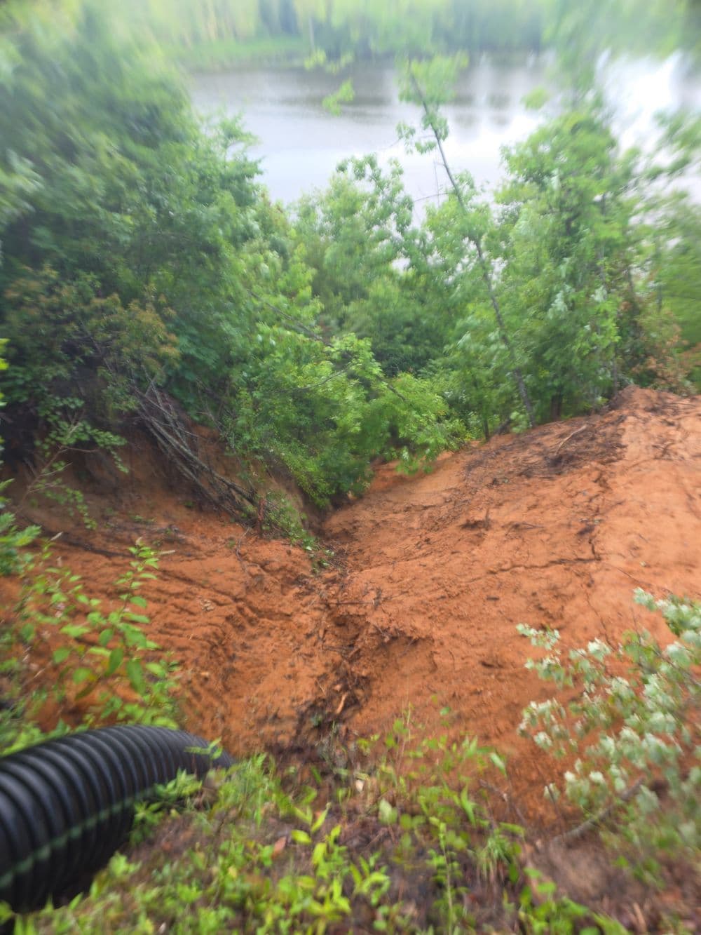 Gallery photos for Major Slope Erosion Repair on a 60% Grade in Lanexa: Image #23